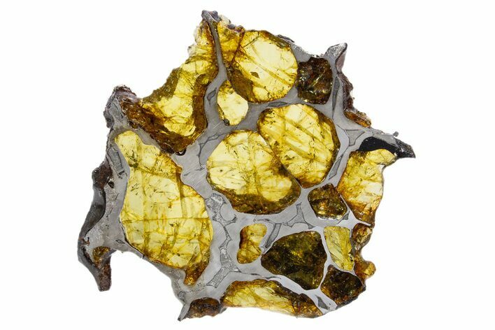 Polished Imilac Pallasite Meteorite (g) Slice #302095